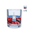 Candela Aria in vetro Frutti di bosco - CONF. RISPARMIO 12 PZ