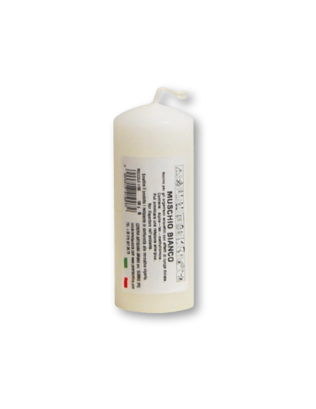 Candela profumata colorata 4 x 10 cm muschio bianco