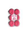 Maxi tealights profumate rosa (confezione 6 pezzi)