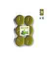 Maxi tealights profumate tè verde - PACCO RISPARMIO 6 CONFEZIONI (6 pezzi a confezione)