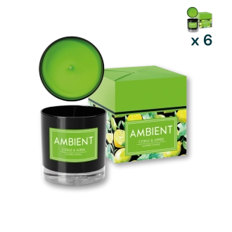 Candela profumata vetro Ambient Citrus & Herbs - CONF. RISPARMIO 6 PEZZI