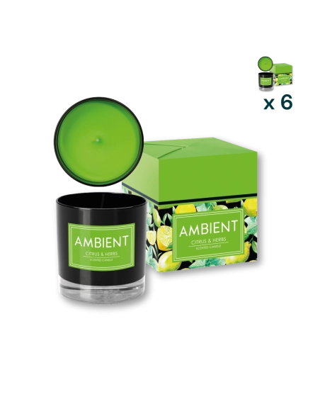 Candela profumata vetro Ambient Citrus & Herbs - CONF. RISPARMIO 6 PEZZI