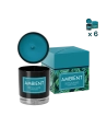 Candela profumata vetro Ambient Tropical Island - CONF. RISPARMIO 6 PEZZI