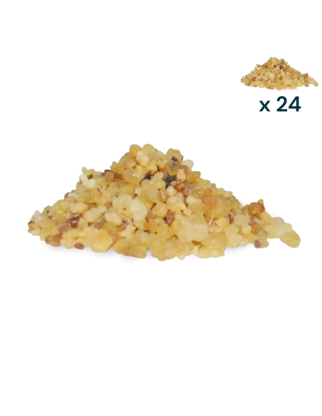 Incenso olibano - PACCO RISPARMIO 24 CONFEZIONI da 500gr