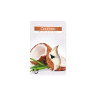 Tealights profumate cocco (confezione 6 pezzi)